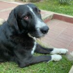 IMG-20250620-WA0018